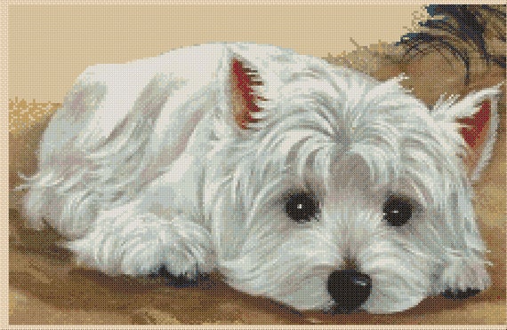 West Highland White Terrier Weight Chart