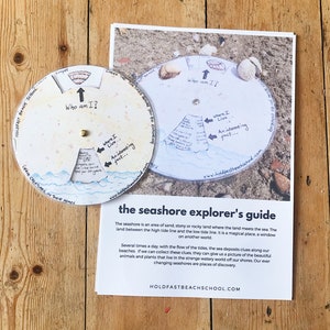 May include: A seashore explorer's guide with a colorful, illustrated wheel that asks "Who am I?" and "Where I Live... An interesting fact..." The guide is printed on white paper with a brown wooden background.