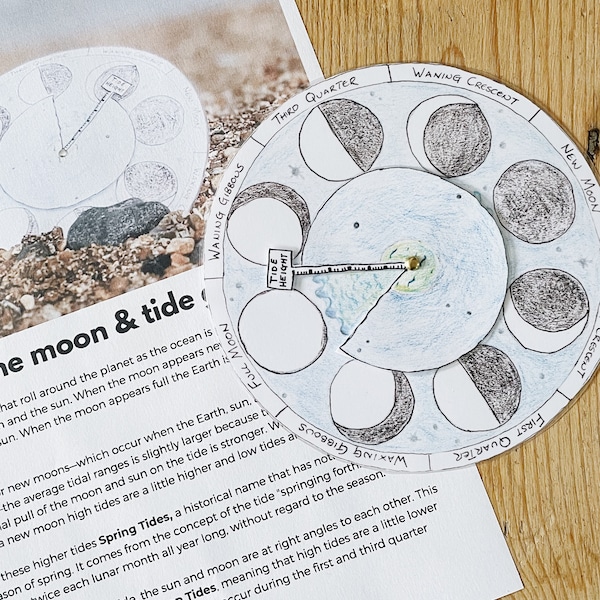 The Moon and Tide Guide - A4 printable lunar phase spring neap tide Identification, Coast & Nature Study