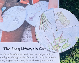 The Frog Lifecycle Guide - A4 printable Pond life Identification wheel, Garden & Nature Study