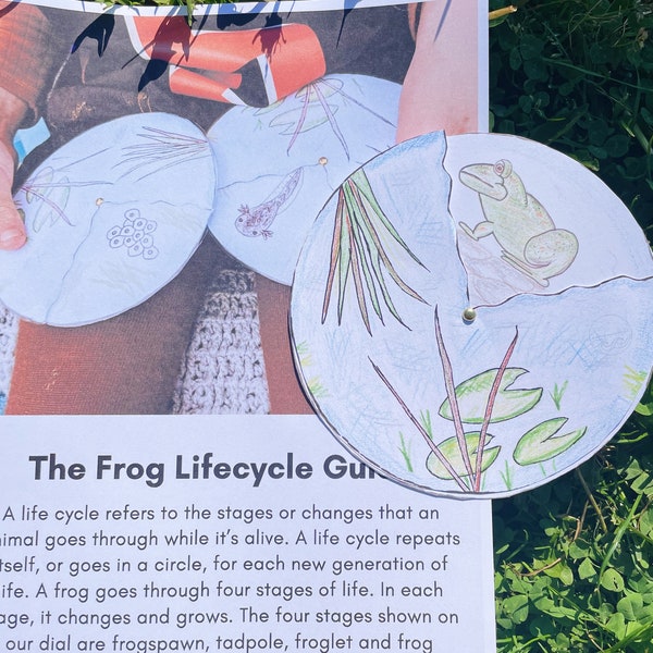 The Frog Lifecycle Guide - A4 printable Pond life Identification wheel, Garden & Nature Study