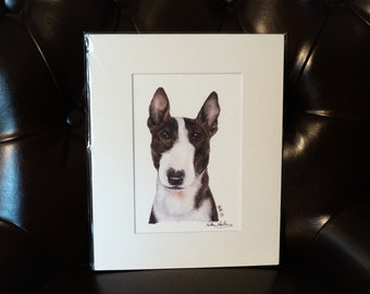 Bull Terrier Signed and Matted Print