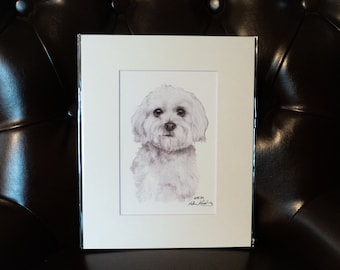 Maltese Signed and Matted Print