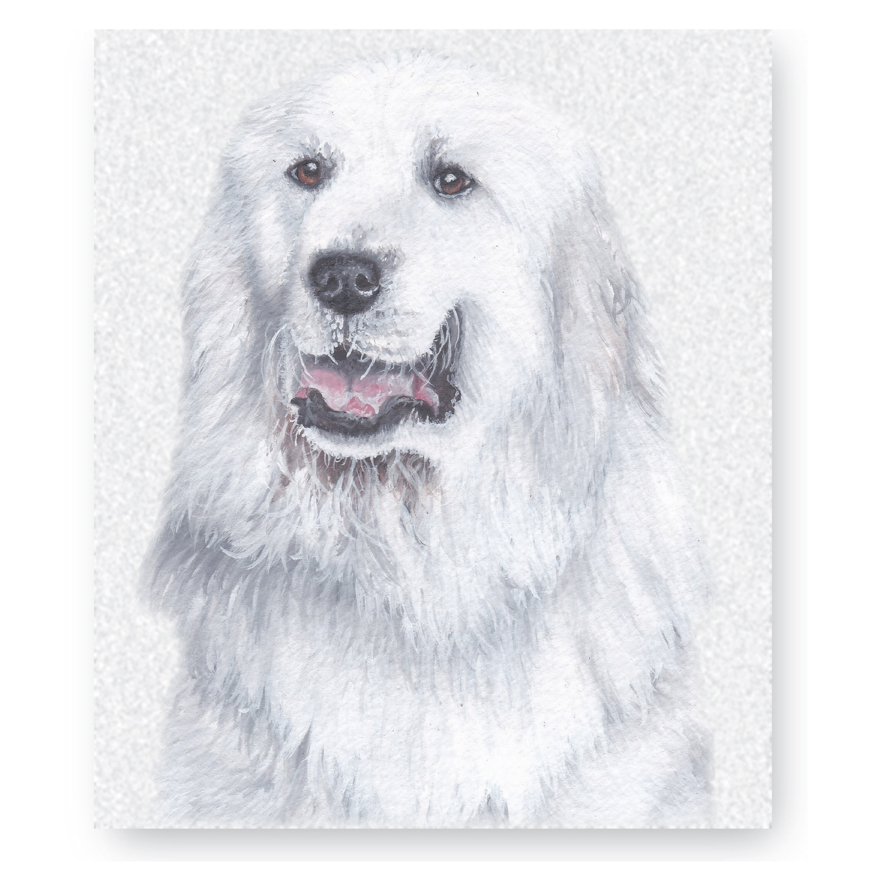 Great pyrenees blanket Clearance