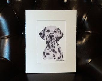 Dalmatian Signed and Matted Print