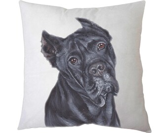 Cane Corso DU Clothing Cane Corso Always Be Yourself Retro 70s Italian Mastiff Dog Throw Pillow 16x16 Multicolor Cane Corso DU Clothing Cane Corso Always Be Yourself Retro 70s Italian Mastiff Dog Throw Pillow 16x16 Multicolor