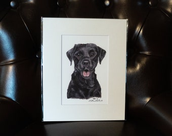 Labrador retriever Signed and Matted Print