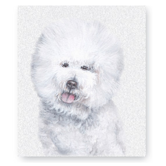 bichons and westies r us