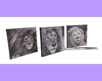 SALE *** Inspirational Living Canvases - The Three Wise Kings Pride Set, Tonga, Shane and Alex, in Black and White *** SALE