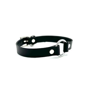 May include: A black leather choker with a silver ring and buckle closure.