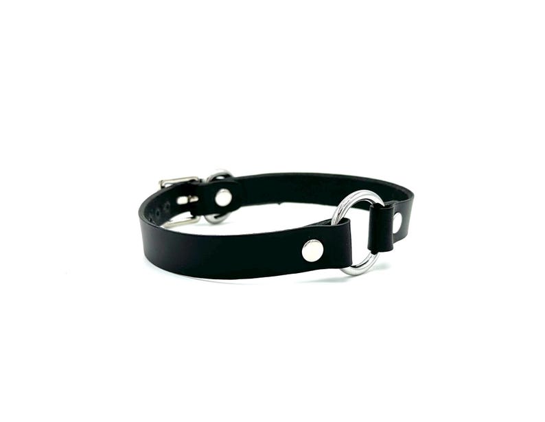 May include: A black leather choker with a silver ring and buckle closure.