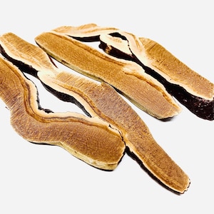 May include: Close-up of several pieces of dried, sliced reishi mushrooms. The mushrooms have a layered appearance with a dark brown outer edge, a light tan middle, and a white inner layer. The pieces are arranged on a white background.
