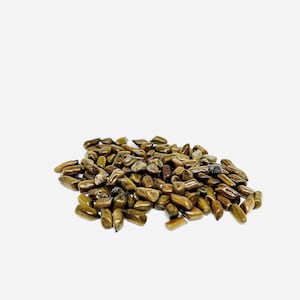 Cassia Obtusifolia (Jue Ming Zi) 100g