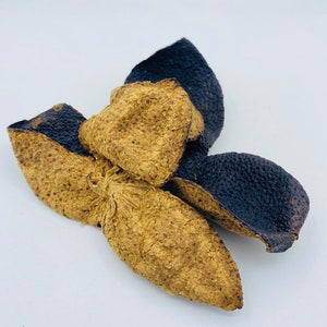May include: Dried orange peel with a dark brown color on one side and a light brown color on the other side. The peel is curled and twisted into a unique shape.