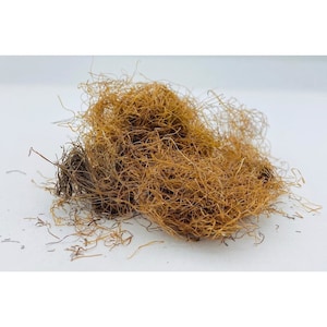 Könnte beinhalten: Ein Haufen getrockneter, brauner, faseriger Materie. Das Material ist sehr dünn und federleicht und ähnelt einem Vogelnest.