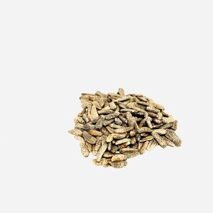 Arctium Lappa (Niu Bang Zi) 100g