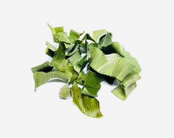 Hojas de pandan de Tailandia 100 g