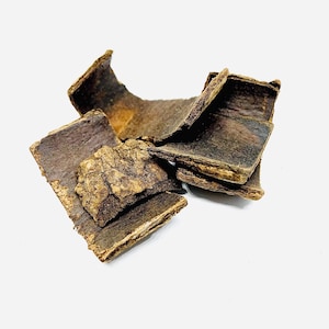 koreanische Eucommia Ulmoides 100g