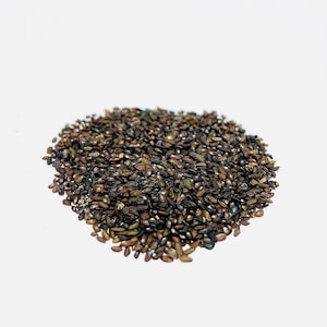 Jiangxi Plantaginis Semen (Che Qian Zi) 100g