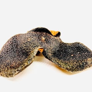 May include: Dried citrus peel, dark brown in color, with a wrinkled texture. The peel is curled into a unique shape.