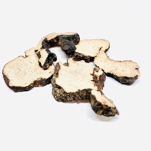 Shanxi Polyporus Umbellatus (Zhu Ling) 100g