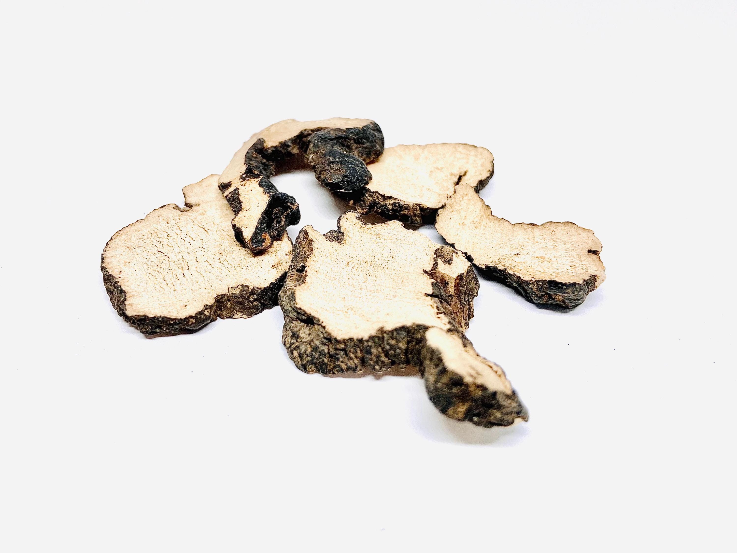 Shanxi Polyporus Umbellatus (Zhu Ling) 100g