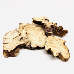 koreanisches Cnidium Officinale 100g