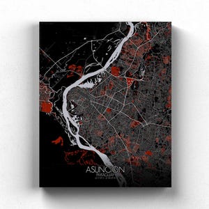 Asuncion, Paraguay | Carte urbaine, Grande taille, Espaces verts, nuit, personnalisable, Poster, carte murale, frais port gratuits