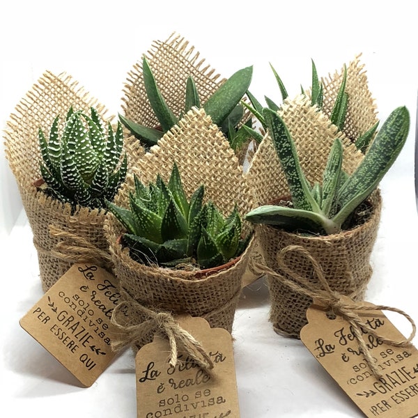 QUARTIERI Segnaposto cactus pianta grassa