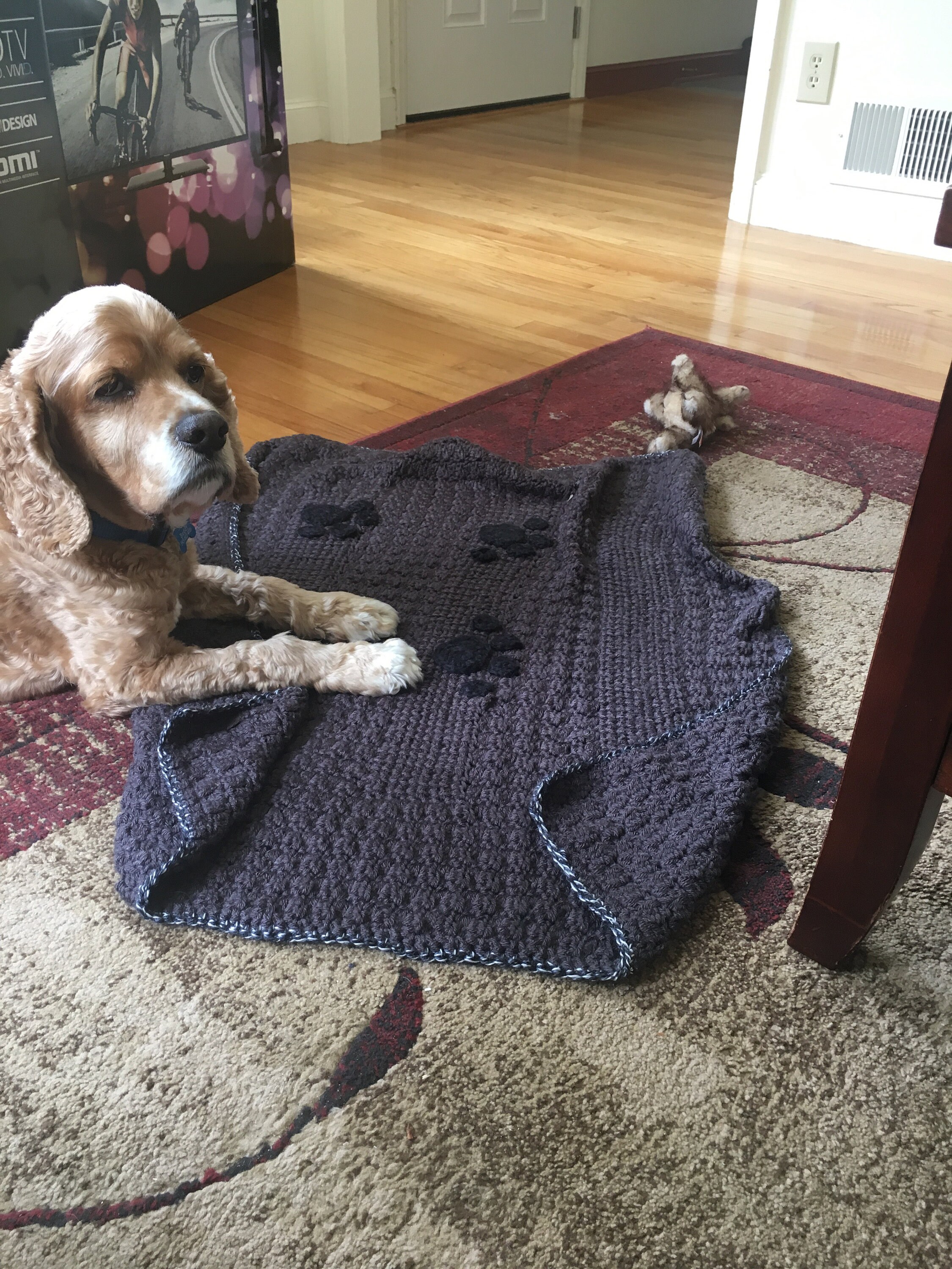 Crochet Paw Print Pet Blanket, Dog Blanket, Cat Blanket, New Kitten