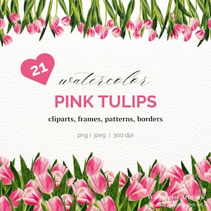 Watercolor Tulip Clipart | Pink Tulips PNG | Floral Borders & Frames | Seamless Tulip Patterns | Mother's Day Flowers | Spring Digital Paper