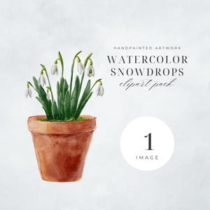 May include: Watercolor painting of a potted snowdrop plant with white flowers and green leaves. The pot is brown and the background is a light gray.