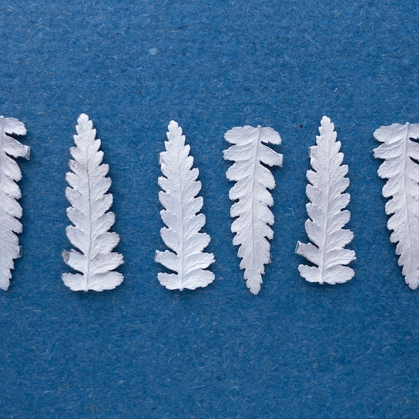 Solderable Accents Sterling Silver fern casting, Nature Jewelry Leaf making supplies for crafting, Silversmith Tools