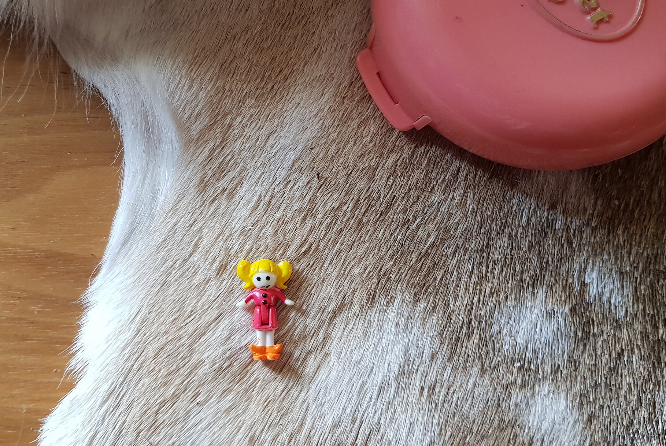 lovely kitty polly pocket