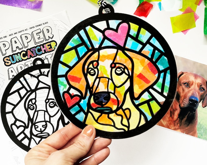 Pet portrait artwork craft kit for kids or adults, pet memorial gift for child, custom dog or cat keepsake