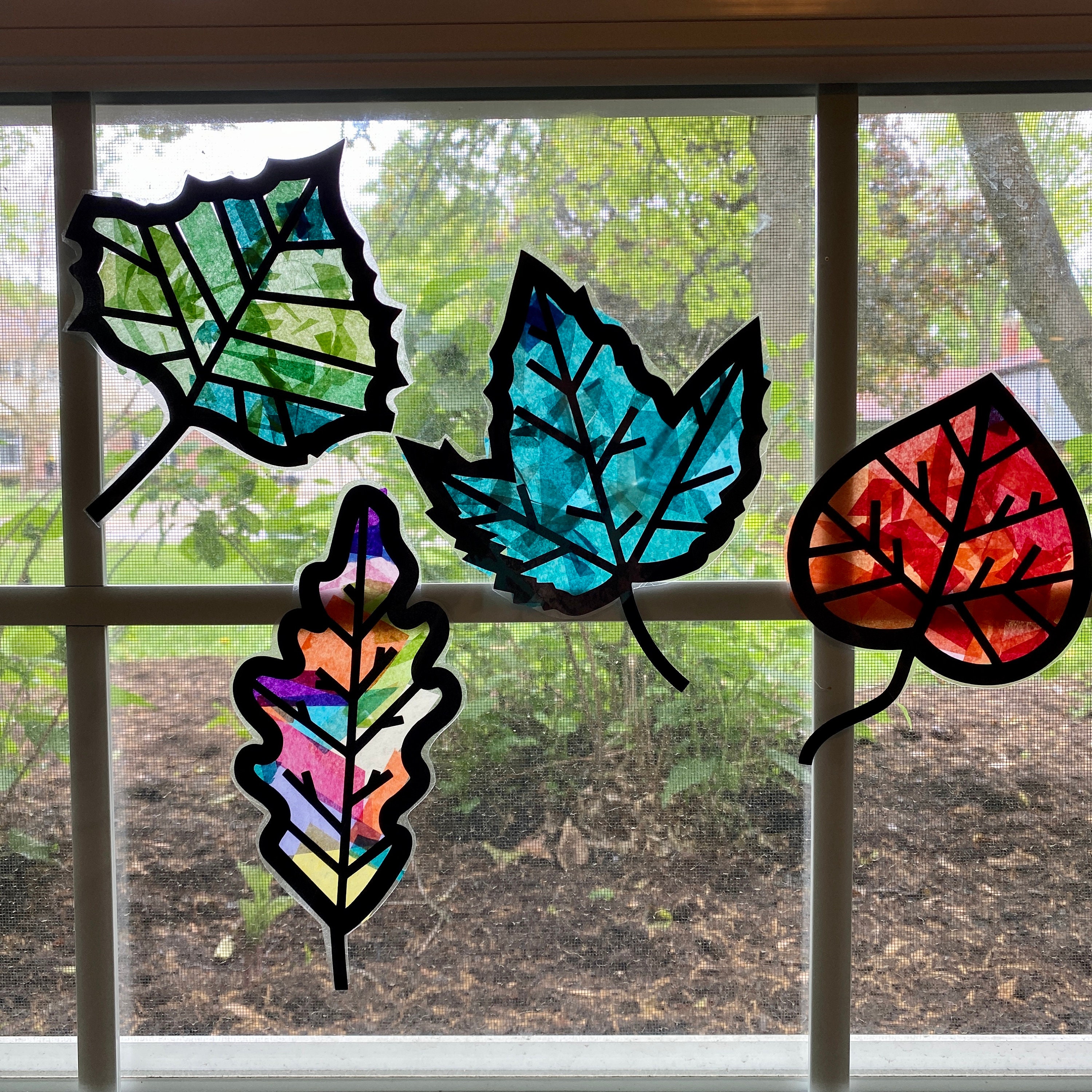 Leaves Suncatcher Kit Kids Craft Kit Homeschool Nature Activity DIY Art Kit  Fall Leaves Changing Seasons Lesson Classroom Craft 