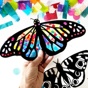 May include: A black butterfly cutout featuring translucent, multi-colored tissue paper segments within its wings. The design includes a central body with antennae and a second, similar black butterfly cutout positioned below it on a white surface.