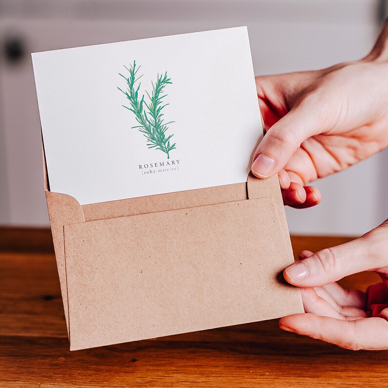 Herb Greeting Card Set Stationery Folded Card Greeting Etsy