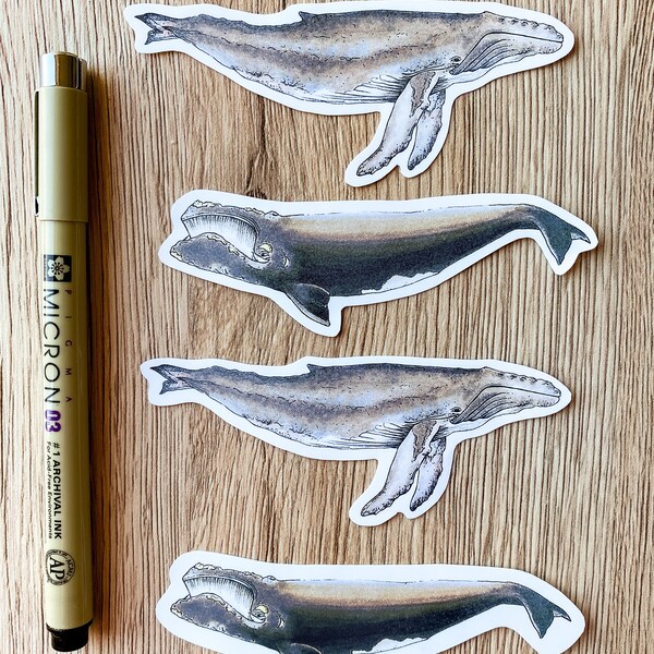 Whale Drawing - Etsy