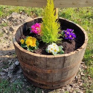 GROßER WHIKSEY FASSStrauch / Busch Übertopf / Gartenwanne / Pflanztopf