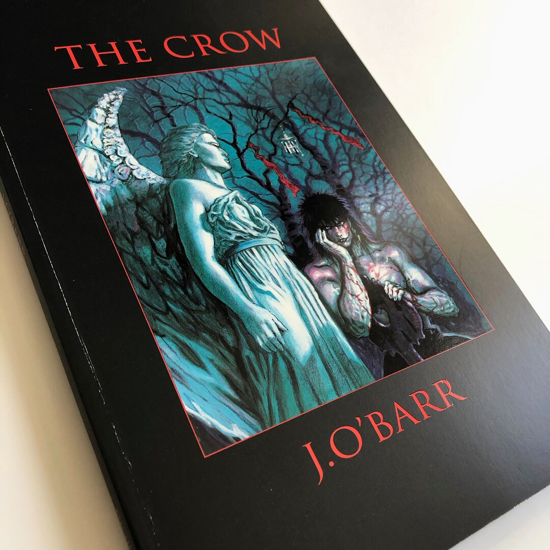 The Crow Graphic Novel. Second Printing 1994 Etsy