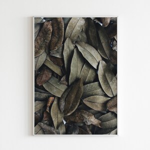 Leaves Photo wall art, nature print, Wall decor, home decor, Digital Print, Photo decor, nature wall decor, Printable Wall Art, Photography