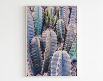 Cactus Print, Cactus Photo Printable, Botanical Wall Decor, Desert Cactus Wall Art