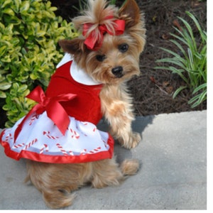 Dog christmas dress 2025