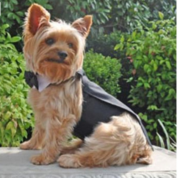 Doggie "Tux"Black Dog Harness Tuxedo w/Tails, Bow Tie, and Cotton Collar, Dog Wedding, Dog Tuxedo, Dog Formal Wear