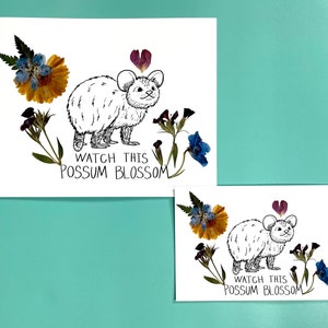 Blossom Possum prints - 5x7 and 8x10 matte inkjet prints possum lover gift