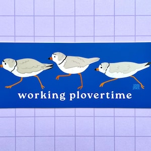 May include: Three white and gray plovers with black eyes are walking in a line on a blue background. The text "working plovertimen" is written below the birds.
