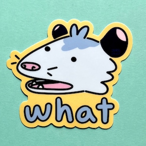 Confused possum vinyl sticker