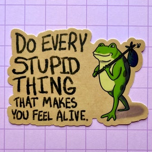 Adventure frog vinyl sticker - inspired by lyrics from the Mountain Goats