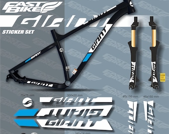 自転車に貼られた特注のジャイアントデカール